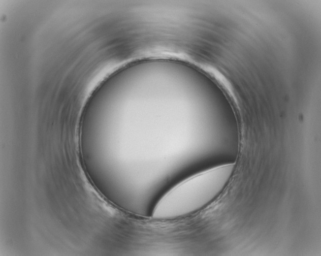 X0000088751191200705311109