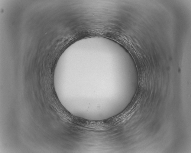 X0000088751201200705311108