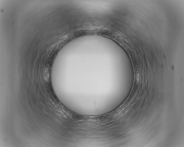 X0000088751204200705311108