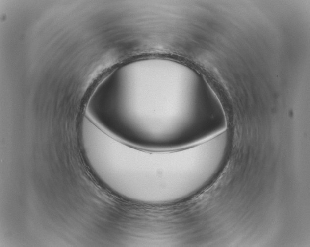 X0000088751218200705311108