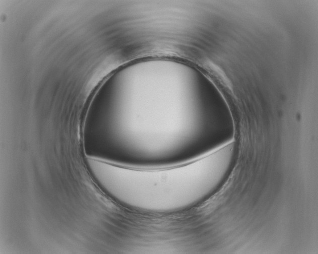 X0000088751226200705311108