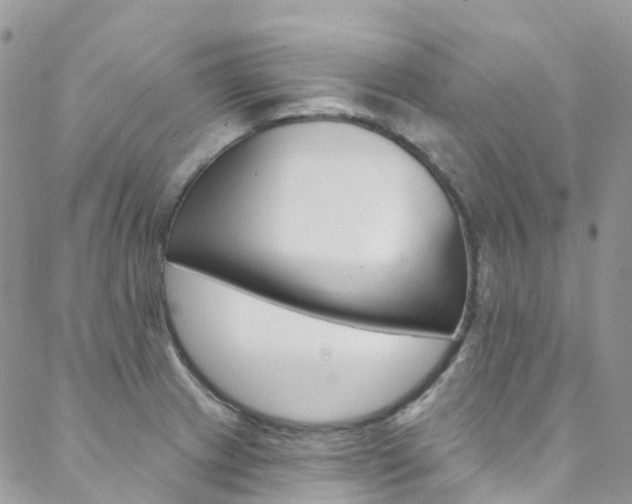 X0000088751233200705311108