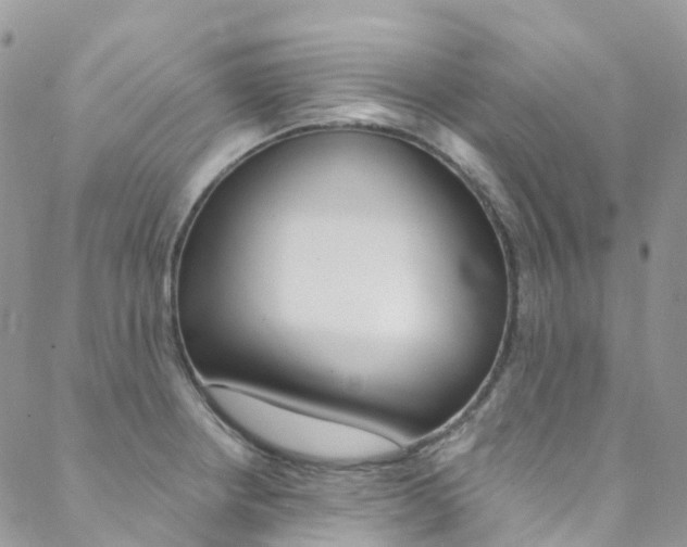 X0000088751234200705311108