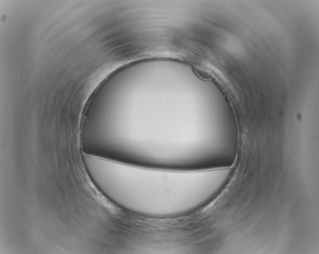 X0000088751236200705311108