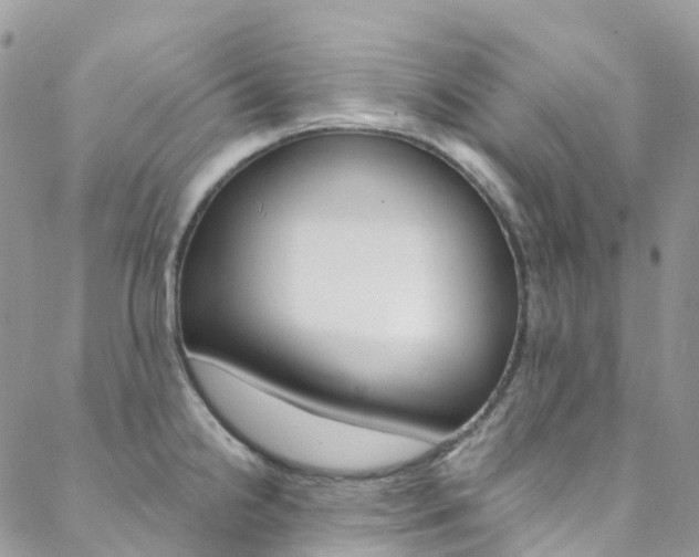X0000088751238200705311108