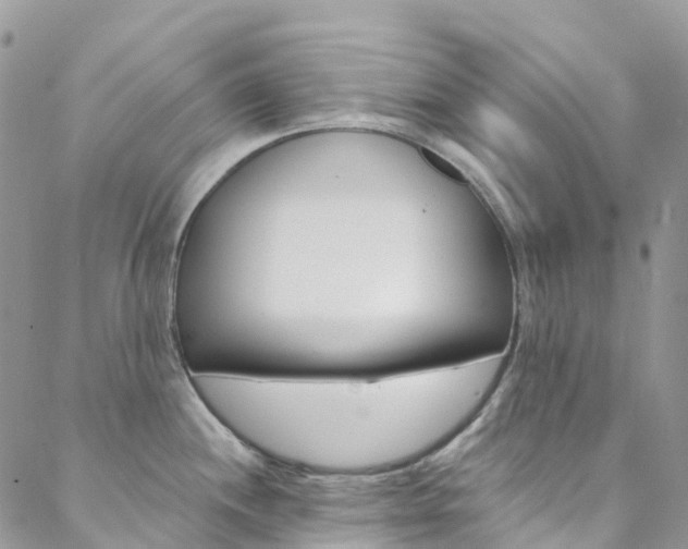 X0000088751244200705311108