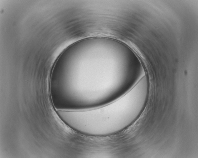 X0000088751246200705311109