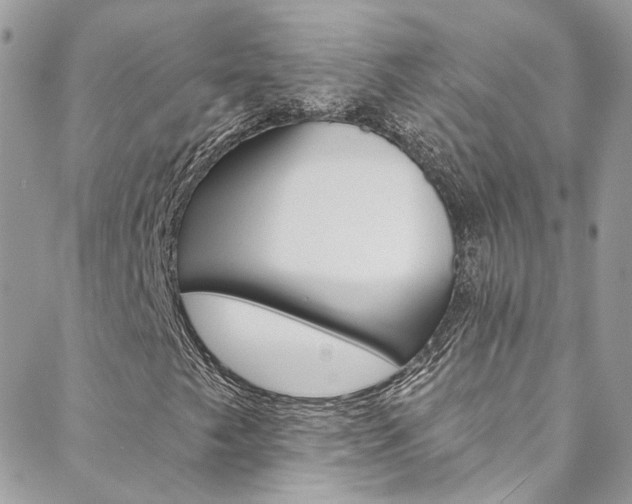 X0000088751249200705311108