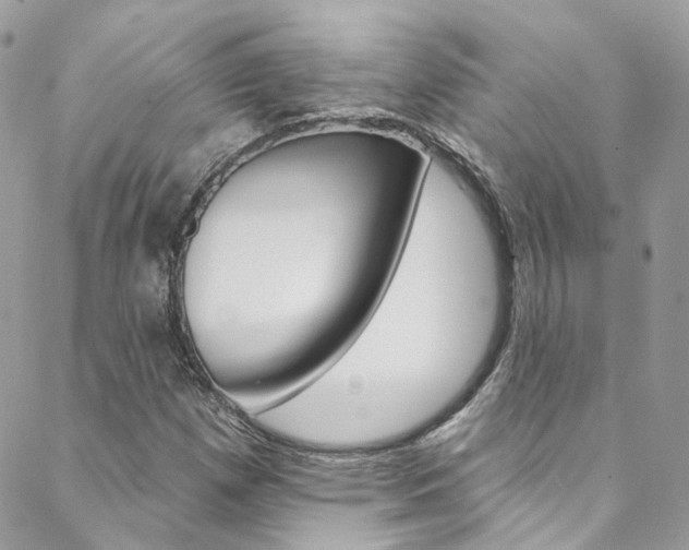 X0000088751257200705311108