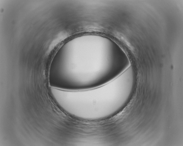 X0000088751261200705311108