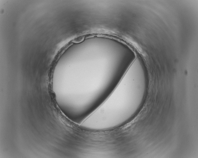 X0000088751264200705311108