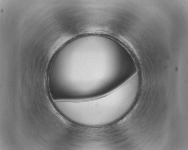 X0000088751277200705311107