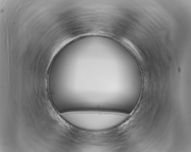 X0000088751292200705311107