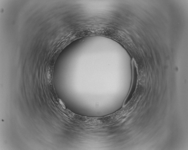 X0000088751298200705311106