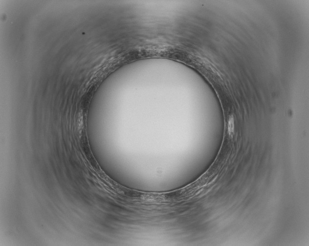 X0000088751299200705311106