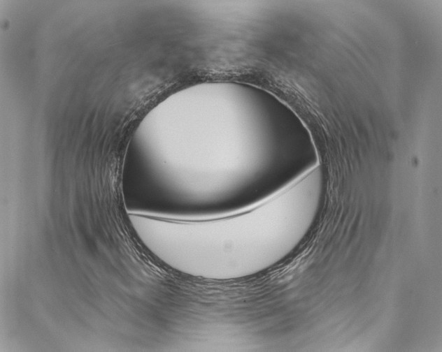 X0000088751300200705311106