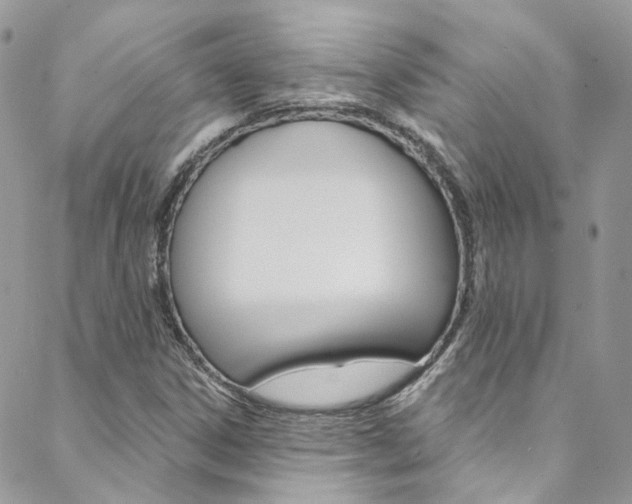 X0000088751306200705311106