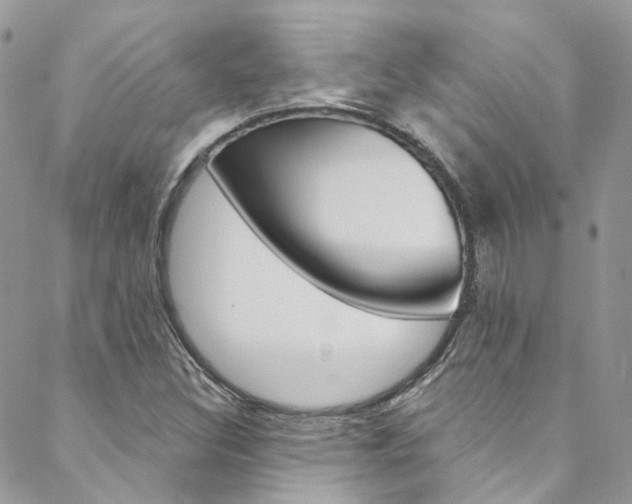 X0000088751308200705311106