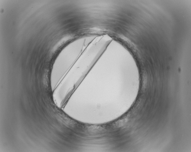 X0000088751314200705311107