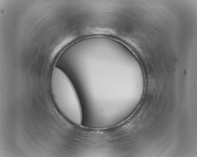 X0000088751317200705311107
