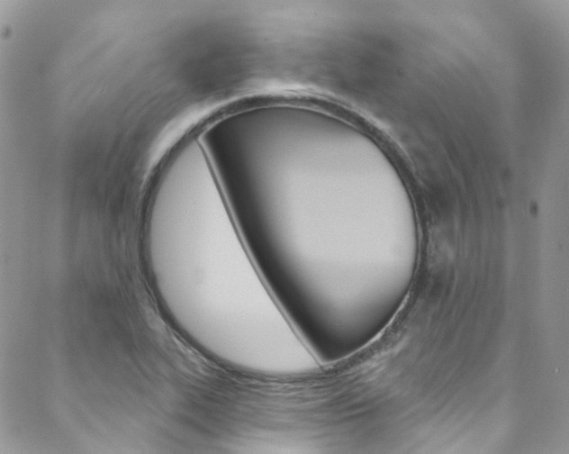 X0000088751319200705311107