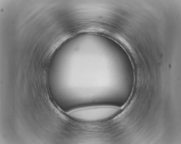 X0000088751329200705311107