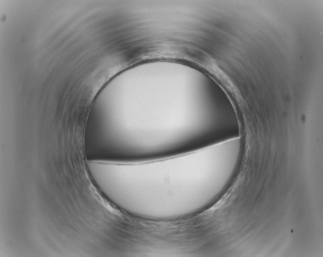 X0000088751337200705311107