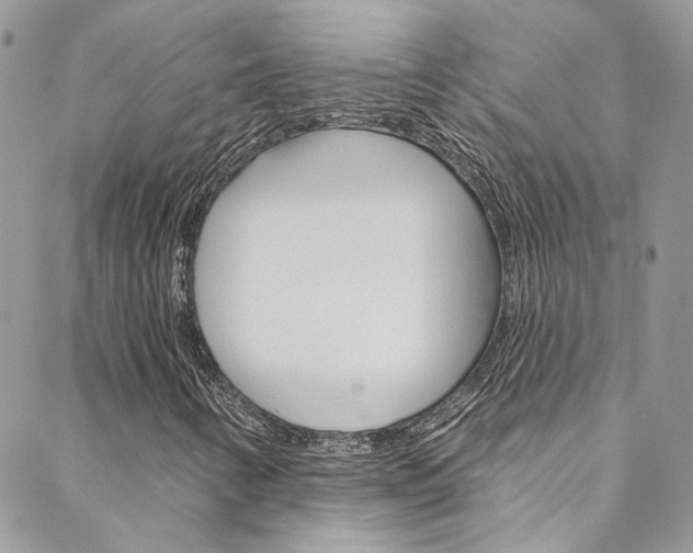 X0000088751346200705311106