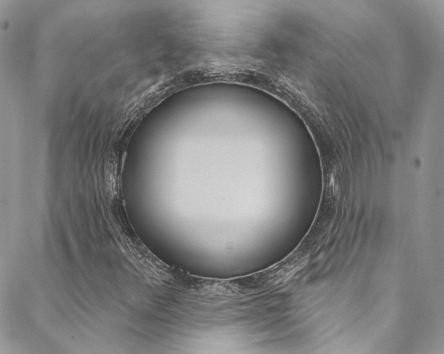 X0000088751348200705311106