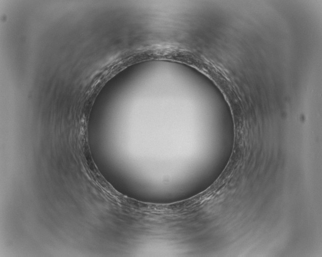 X0000088751349200705311106