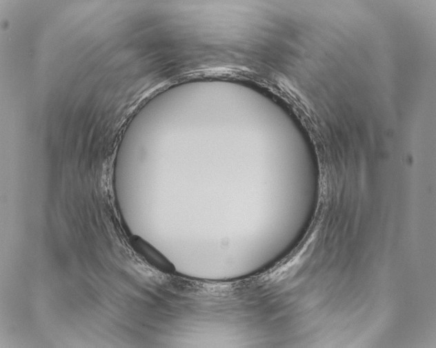 X0000088751353200705311106