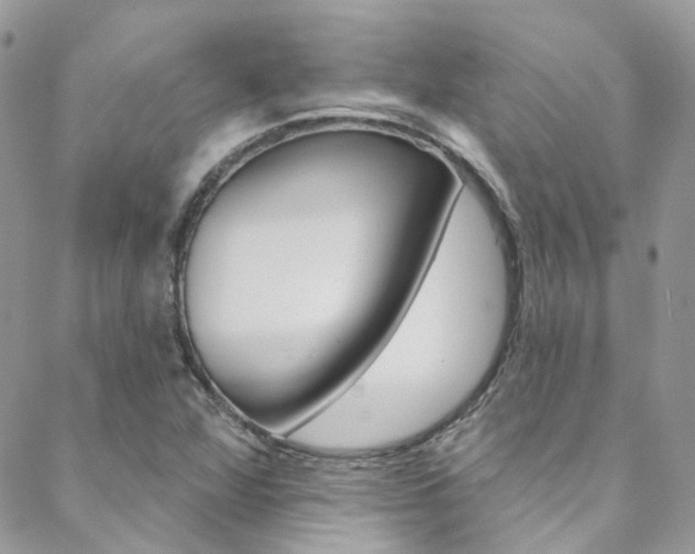 X0000088751360200705311106