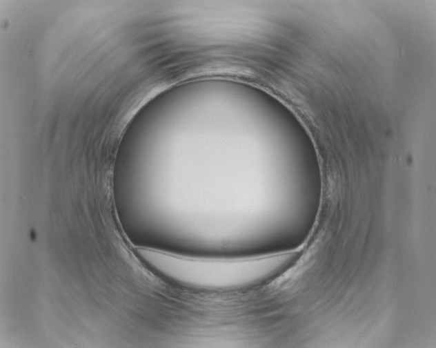 X0000088751369200705311106