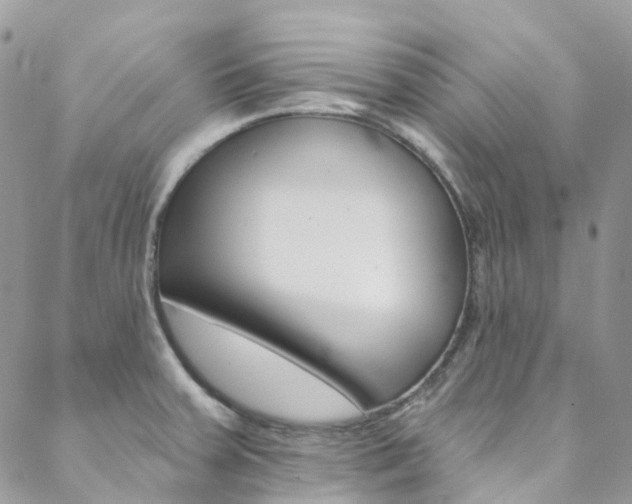 X0000088751379200705311106