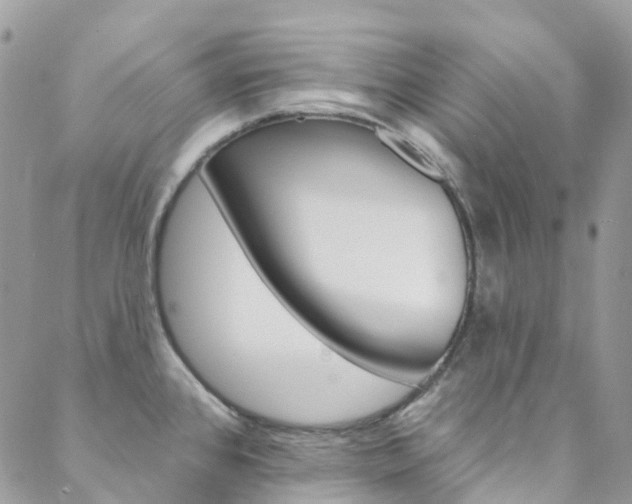 X0000088751384200705311106