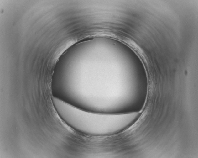 X0000088751385200705311106