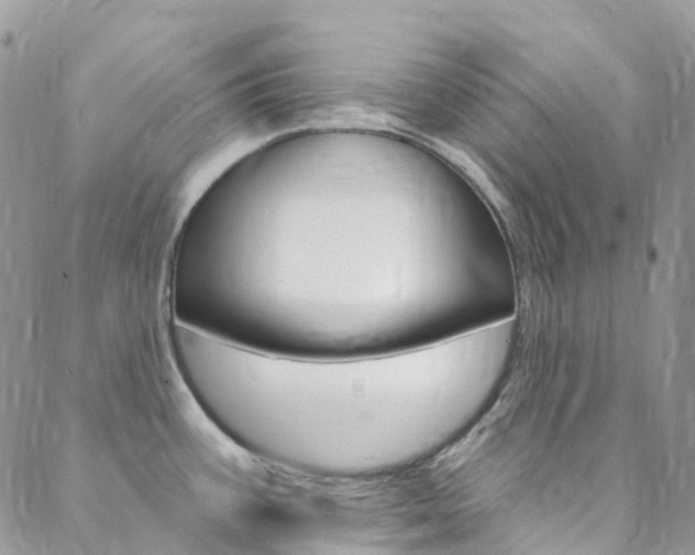 X0000088751387200705311106