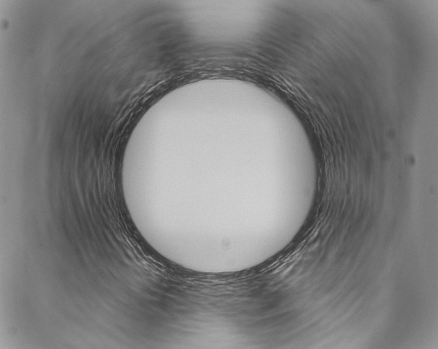 X0000088751394200705311105
