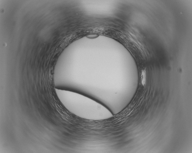 X0000088751395200705311105