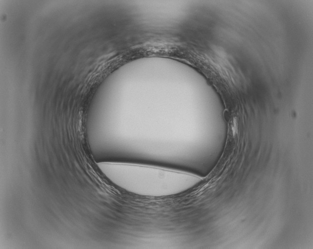 X0000088751396200705311105