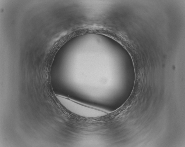 X0000088751398200705311105