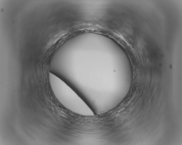 X0000088751399200705311105