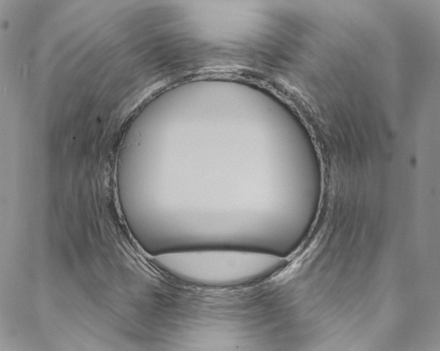X0000088751401200705311105
