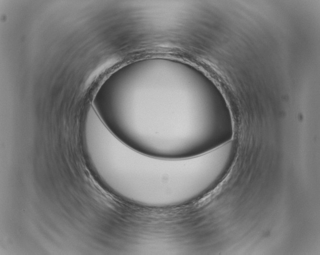 X0000088751402200705311105