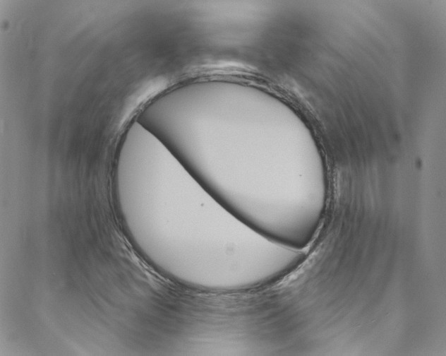 X0000088751405200705311105