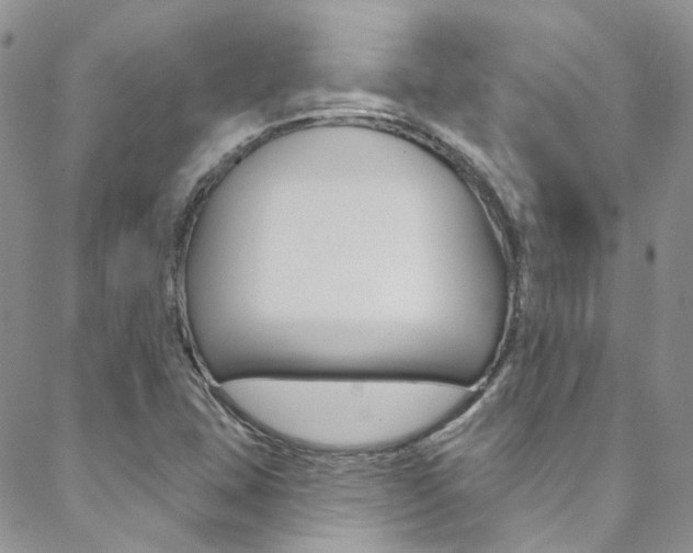 X0000088751407200705311105