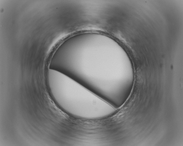X0000088751408200705311105