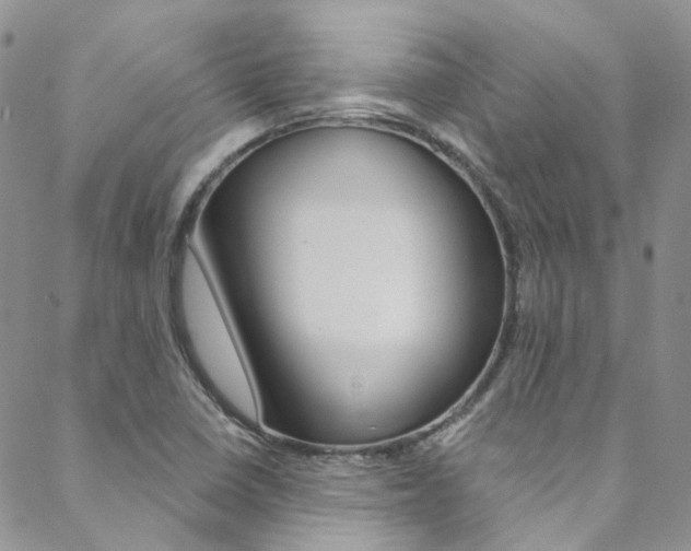 X0000088751410200705311105