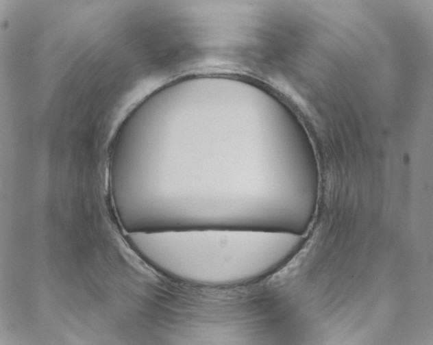 X0000088751413200705311105