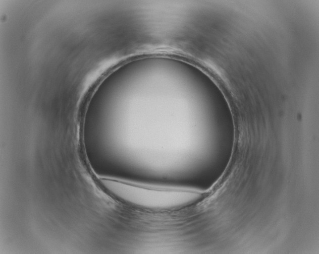 X0000088751414200705311105